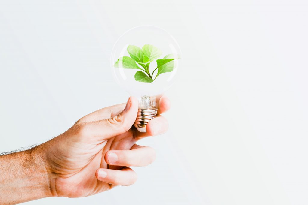 Infobip divulga iniciativa de ESG visando um futuro sustentável em tecnologia