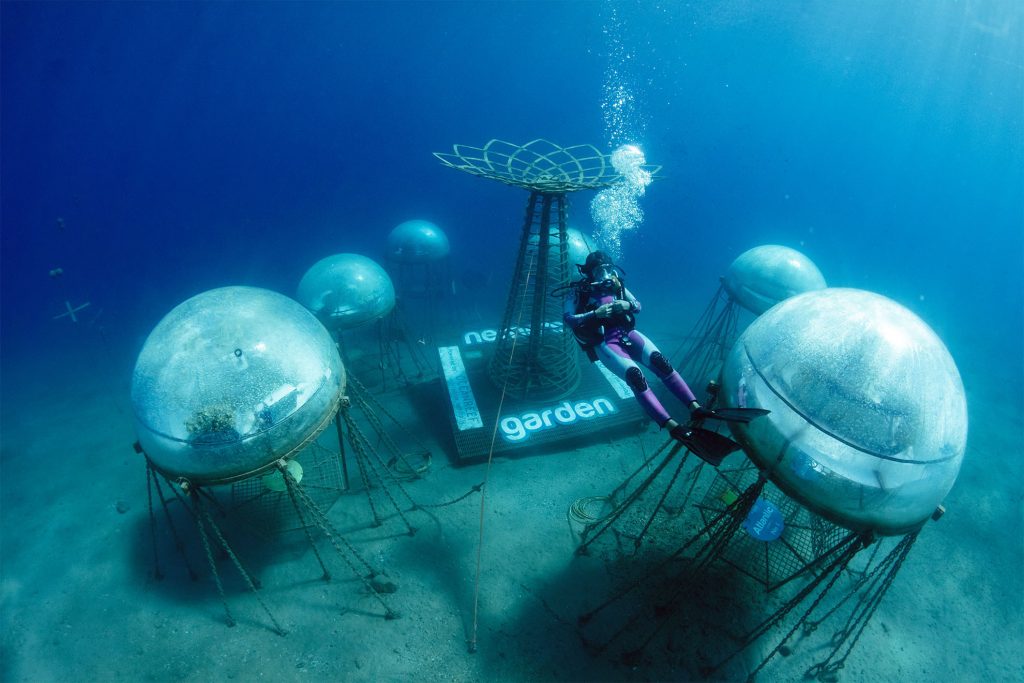 Nemo’s Garden usa Gêmeos Digitais para cultivo subaquático sustentável