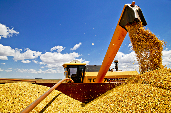 ERP Datainfo acelera processos internos de exportação de grãos na Marubeni