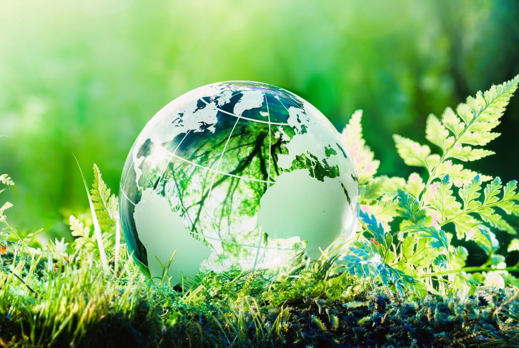 Deloitte GreenSpace Tech acelera metas de sustentabilidade nas empresas -  Inforchannel